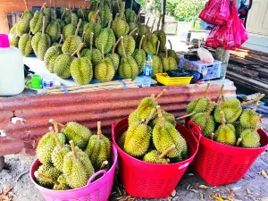 Nong Cha Om Fruit Market