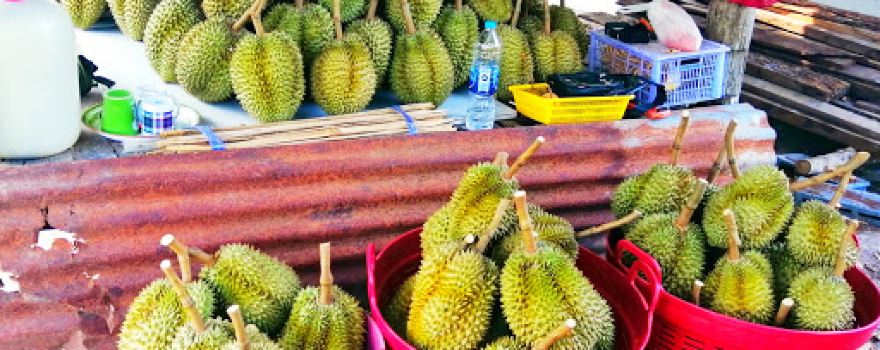 ตลาดหนองชะอม