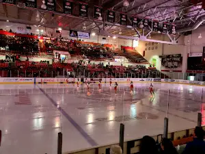 Herb Brooks National Hockey Center