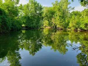 Tate Park