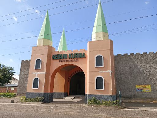 Wisata Kebun Kurma