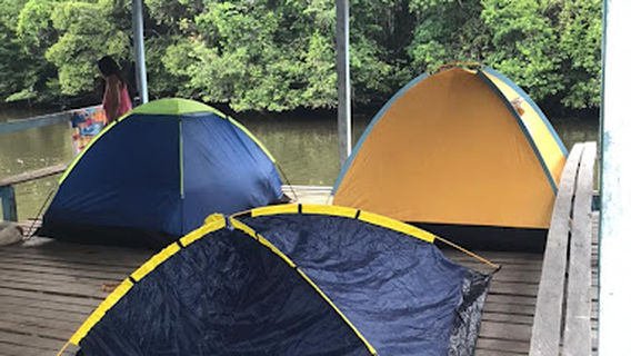 Comunidade Quilombola São Francisco do Matapi