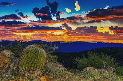 Arizona Trail, Tiger Mine Trailhead