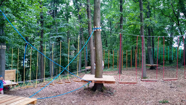 Nízký lanový park