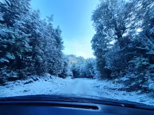 Mt Lyford Alpine Resort