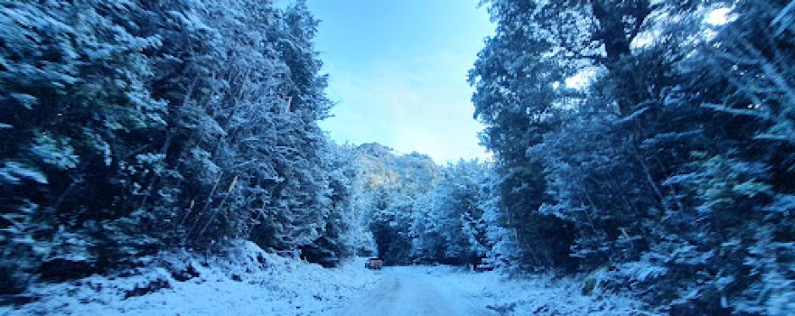 Mt Lyford Alpine Resort