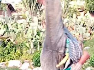 Ganda Mahamad Yusuf Kersa Hararge