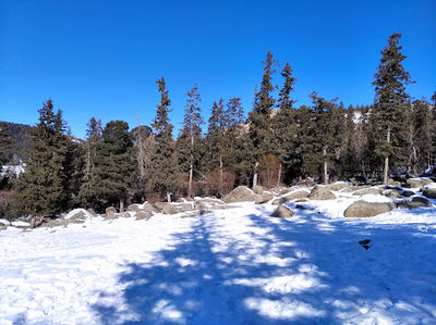 Bogd Khan Uul