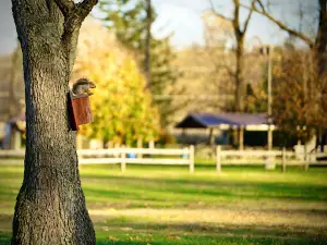 Bowers Park