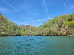 Dale Hollow Dam Campground
