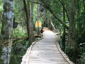 WISATA ALAM PASUHA