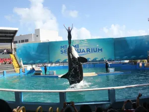 Miami Seaquarium