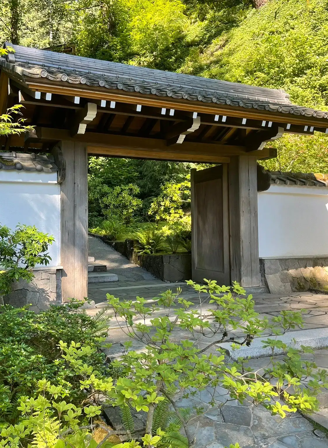 Hotels near Portland Japanese Garden