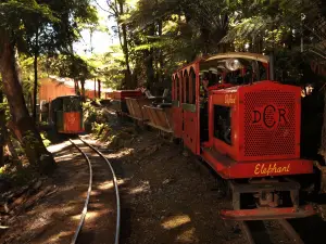 Driving Creek Railway