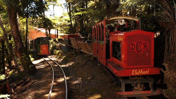 Driving Creek Railway