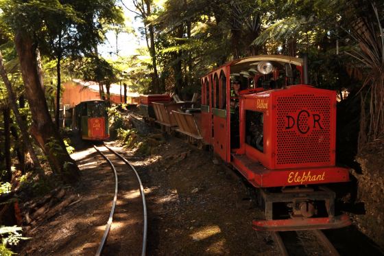 Driving Creek Railway