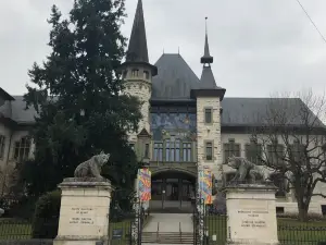 Bernisches Historisches Museum - Einstein Museum