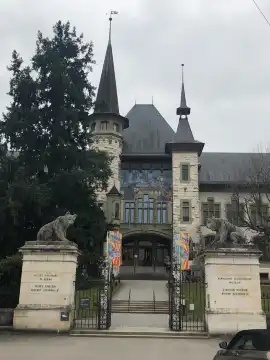 伯爾尼歷史博物館