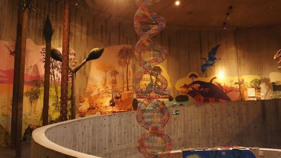 Krapina Neanderthal Museum