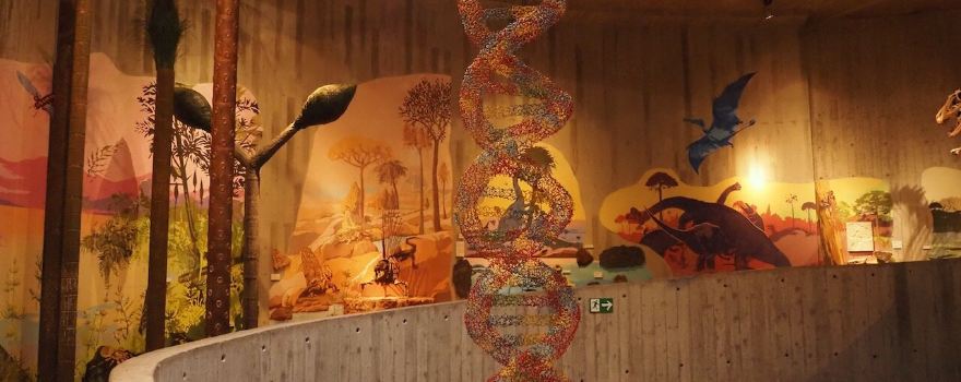 Krapina Neanderthal Museum