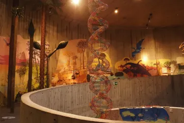 Krapina Neanderthal Museum