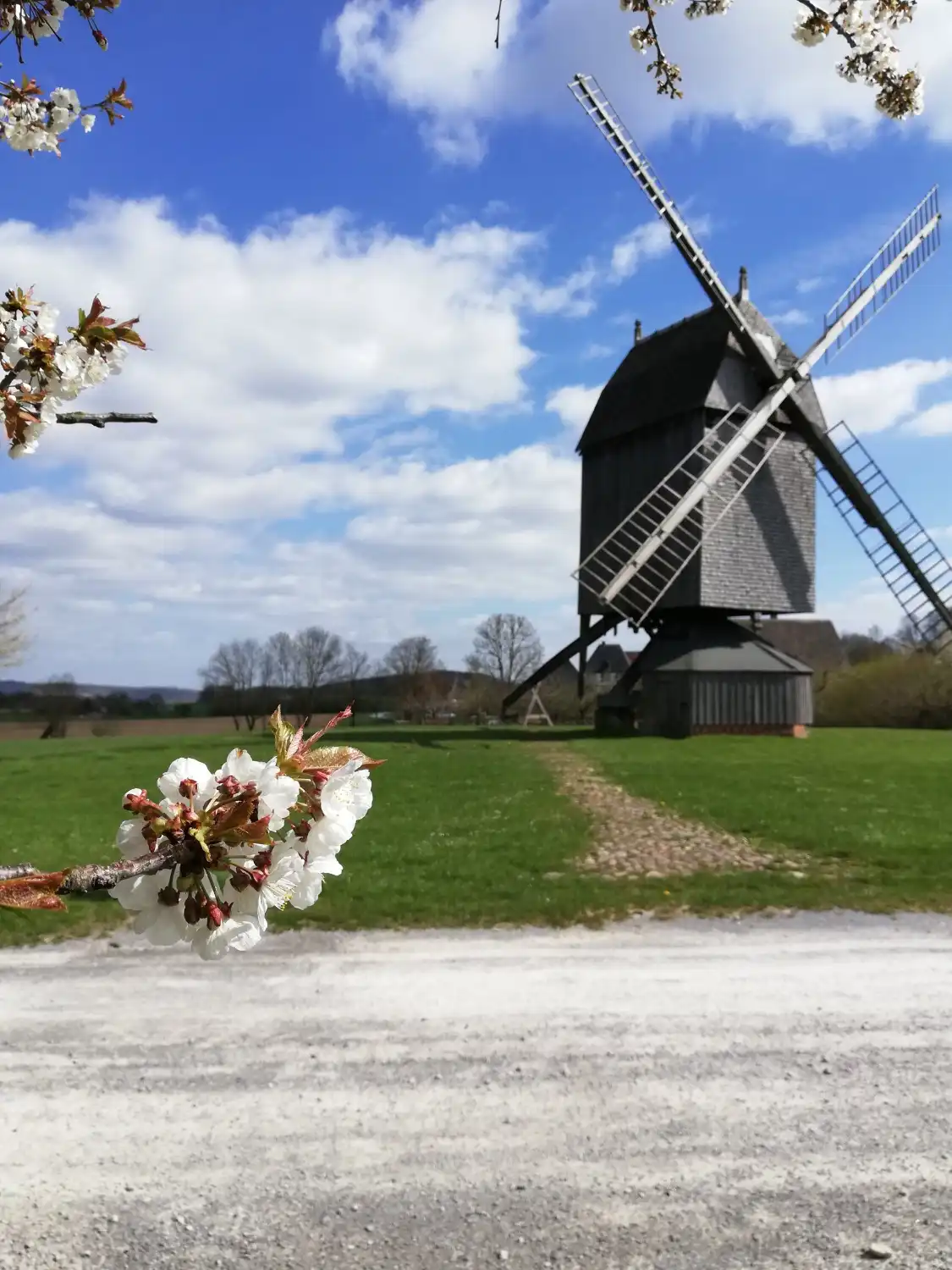 Hotels near Detmold Open-air Museum