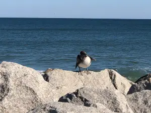 Fort Fisher State Recreation Area