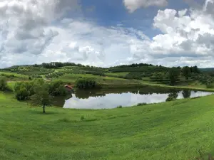 Mercier Orchards