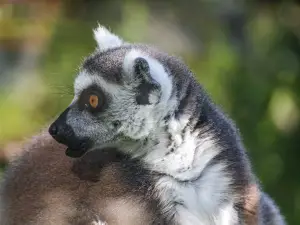 Bioparco di Sicilia