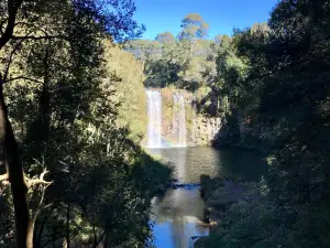 Dangar Falls