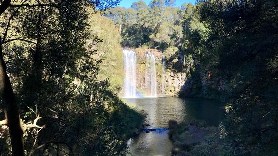 Dangar Falls