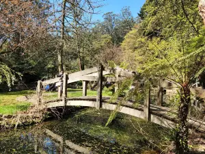 Alfred Nicholas Memorial Garden