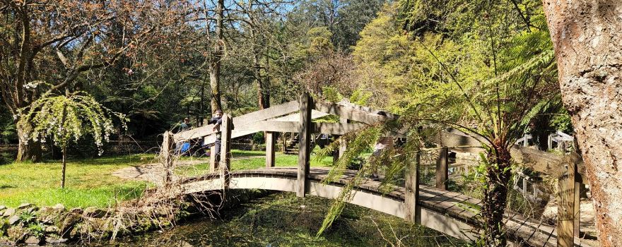 Alfred Nicholas Memorial Garden