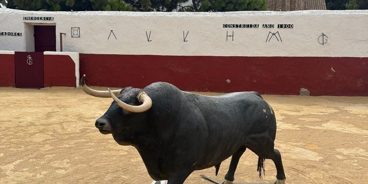 Plaza de Toros de Mijas