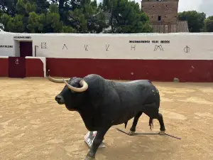 Mijas-Bullring