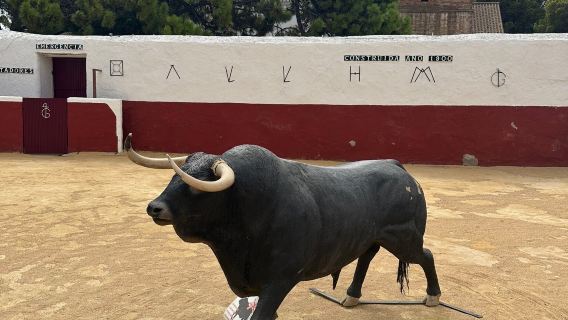 Mijas-Bullring