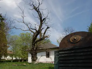 Mihai Eminescu Park