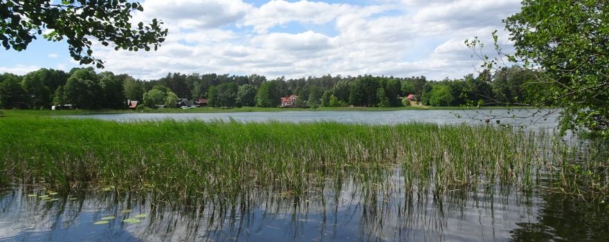 Shrine of Our Lady Studzieniczańskiej