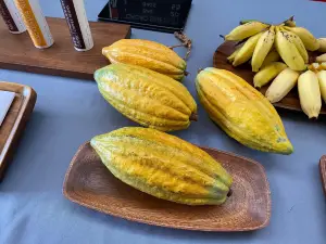 Lydgate Farms Chocolate Tours