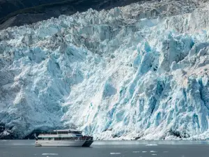 Kenai Fjords Tours