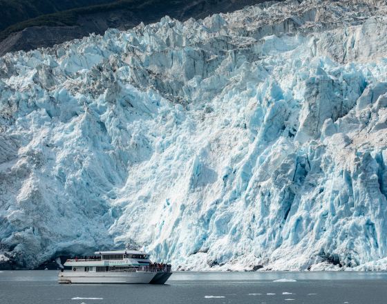 西沃德 自由行套票