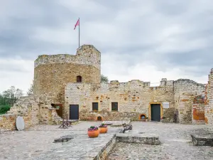 Castle in Inowlodz