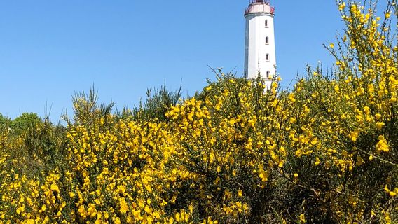 Dornbusch lighthouse