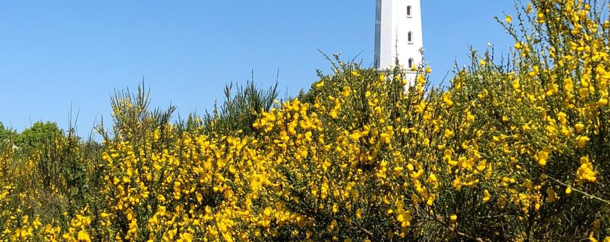 Dornbusch lighthouse