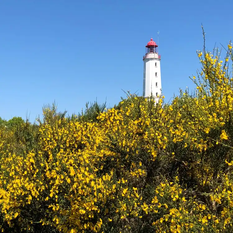 Hotels in Insel Hiddensee