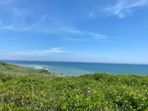 Coast Guard Beach