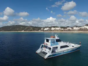 Freedom Whale Watch