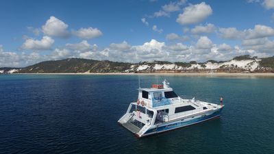 Freedom Ecotours - Whale Watch and Charters