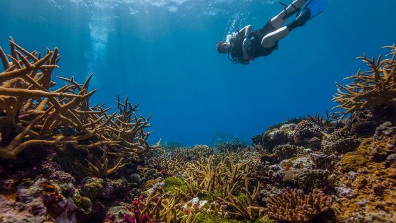 Fagatele Marine Sanctuary