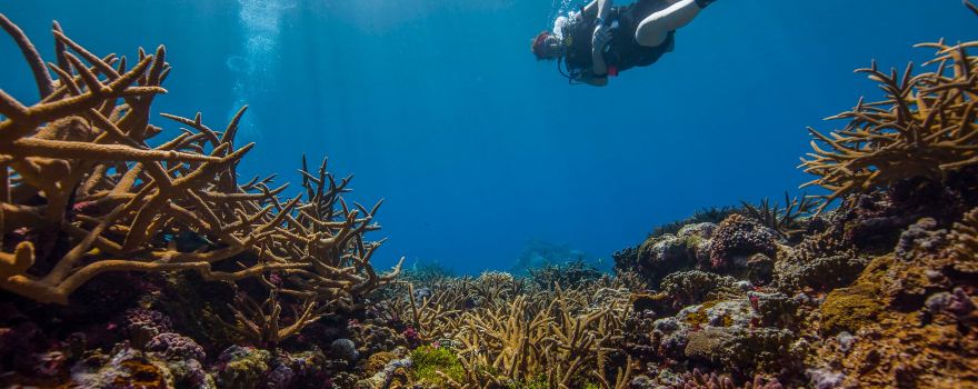 National Marine Sanctuary of American Samoa